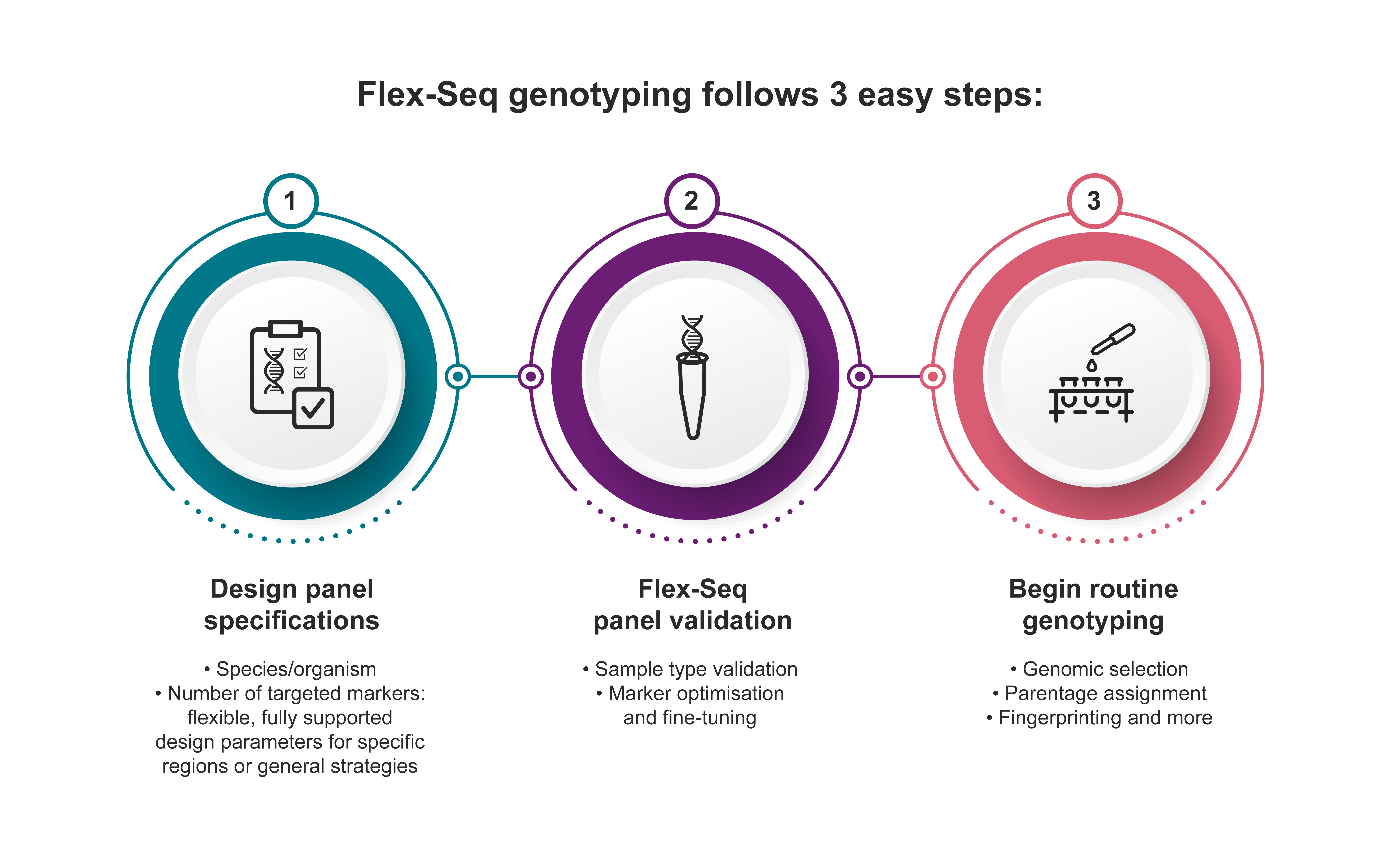 FLEX-SEQ 3 STEPS