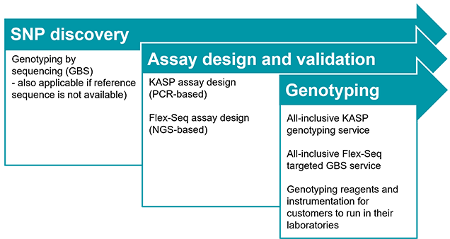 sequencing options chart