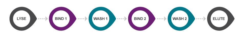 sbeadex workflow order